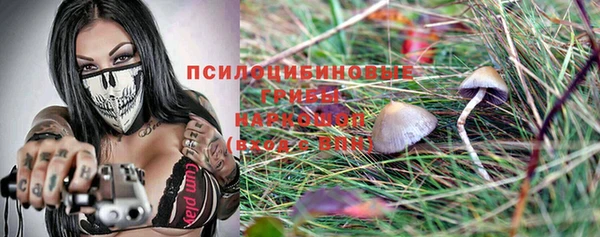 метадон Алексеевка