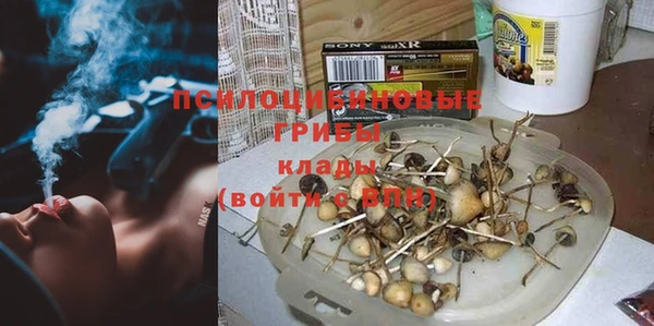 первитин Алексин