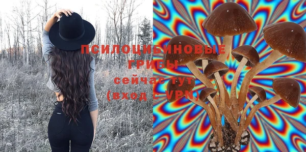 метадон Алексеевка